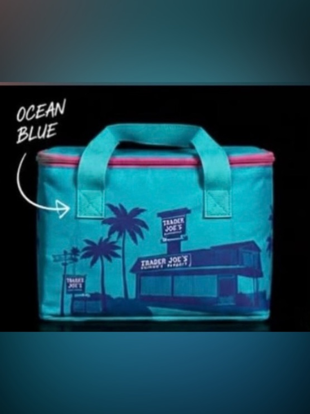 Trader Joe's Ocean Blue mini Insulated Tote just released